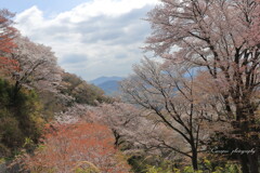 平沢高峯展望台付近からⅡ