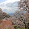 平沢高峯展望台付近からⅡ
