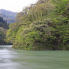 風を感じて霧幻峡