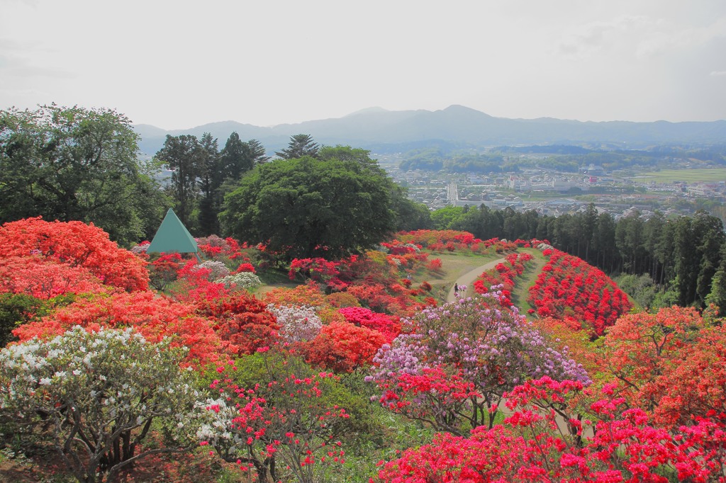 笠間つつじ公園