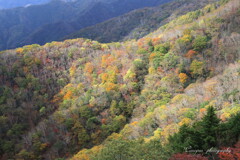 半月山駐車場から 半月山駐車場から