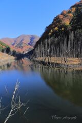 臼の平紅葉大橋