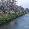 春の野元川