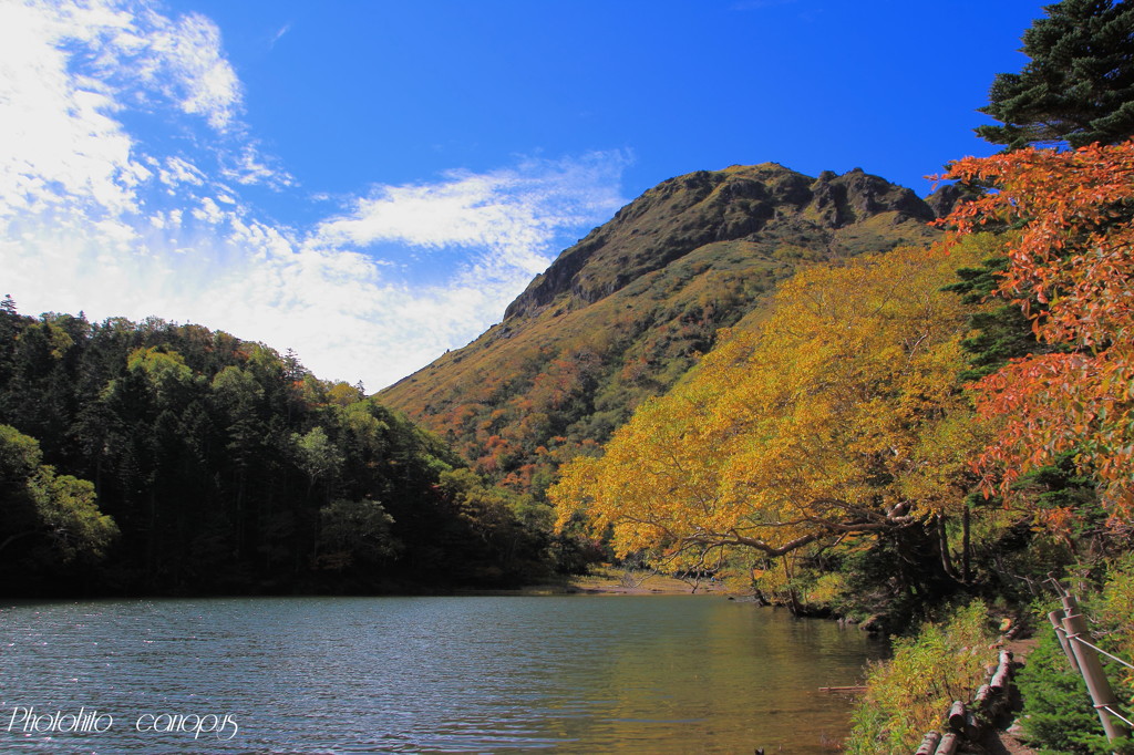 弥陀ヶ池からの日光白根山