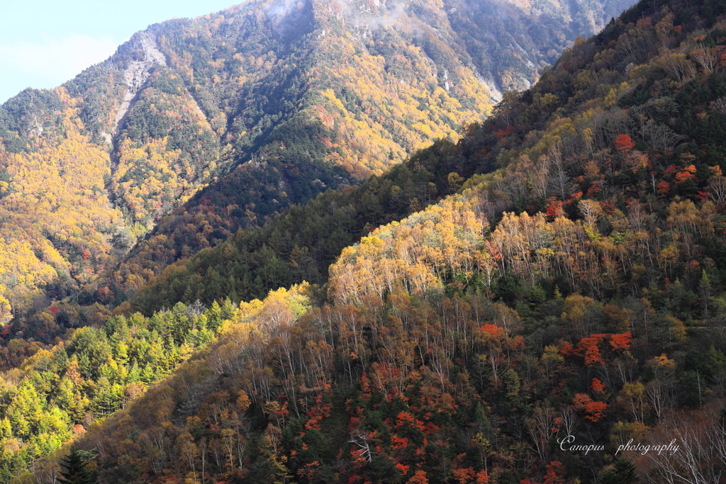山王林道から
