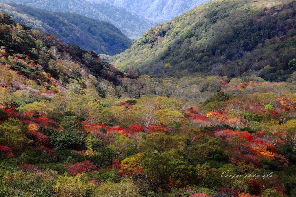 森林限界からの眺め