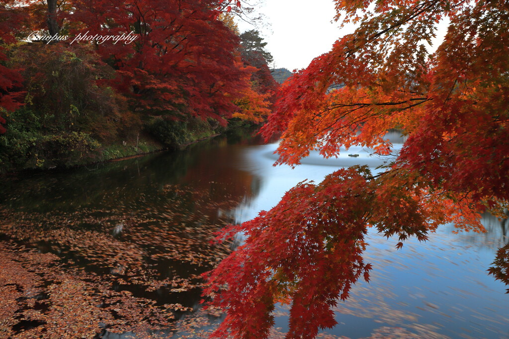 亀ヶ城公園Ⅰ