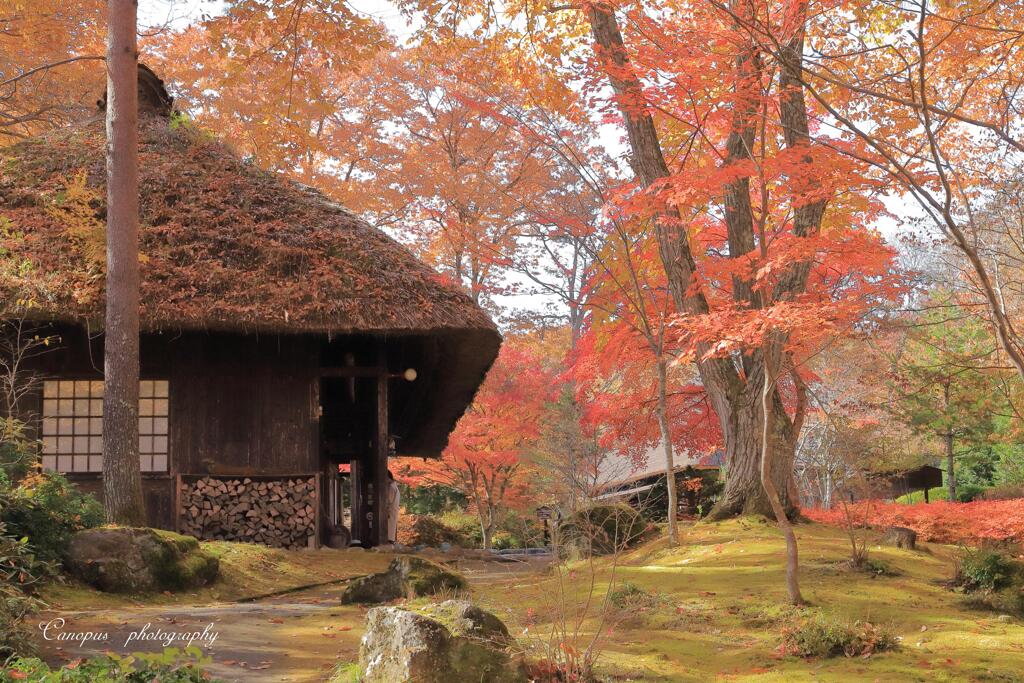 平家の里