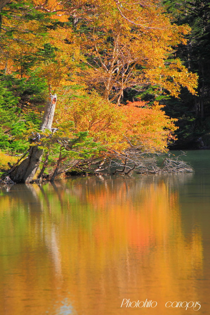 弥陀ヶ池の風景　Ⅱ