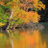 弥陀ヶ池の風景　Ⅱ