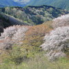 新緑の御亭山　Ⅰ