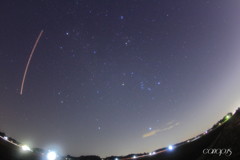 近間で撮った冬の☆
