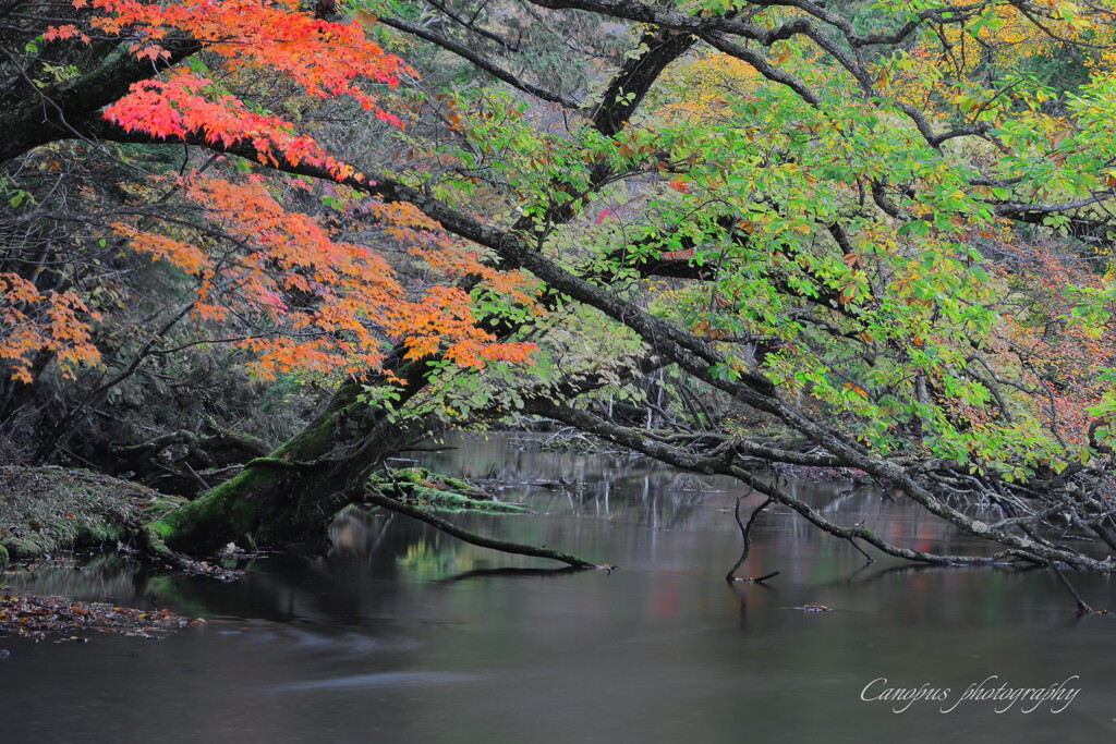 gradation