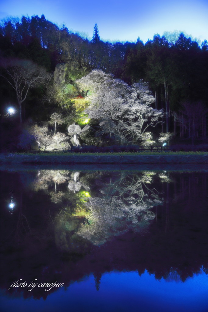 宵闇に春の幻想