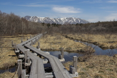 春遠い湿原