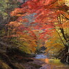 錦秋の渓谷