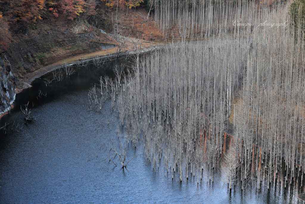 湯西ダム湖、上