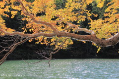 弥陀ヶ池の風景　Ⅰ