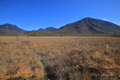 戦場ヶ原 戦場ヶ原