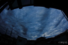 不思議な朝の雲