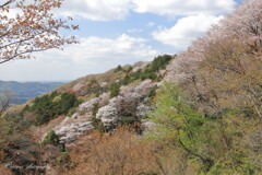 平沢高峯展望台付近からⅠ