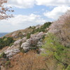 平沢高峯展望台付近からⅠ