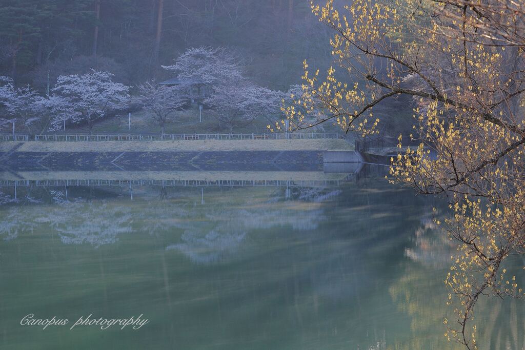 半田山自然公園