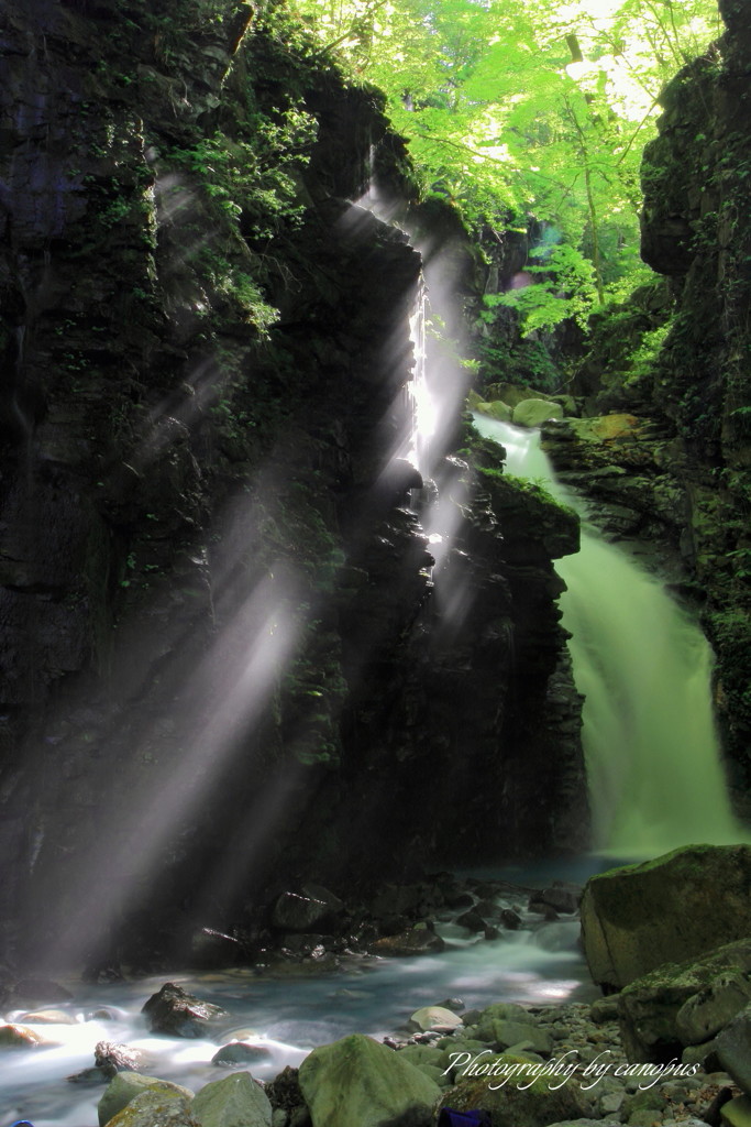 green waterfall