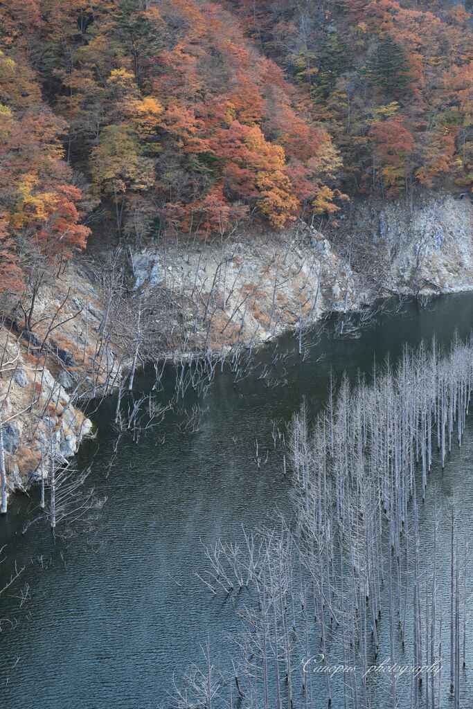 湯西ダム湖、下