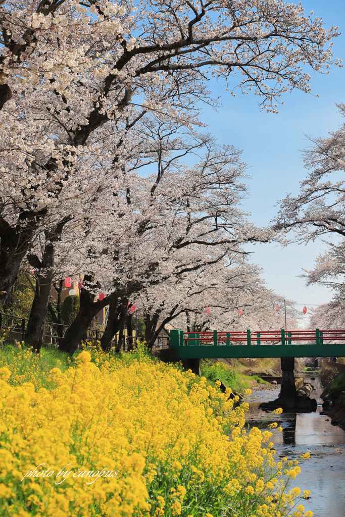 真岡～行屋川