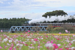 真岡鉄道SL