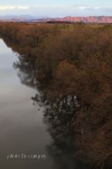 渡良瀬遊水地の風景　