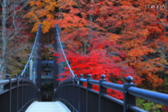 紅の吊り橋