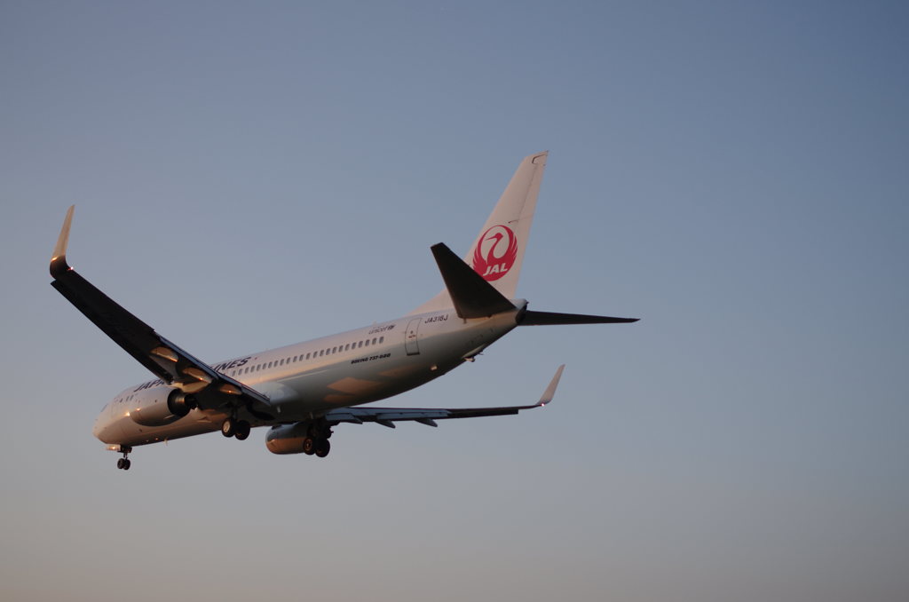 夕暮飛行機1