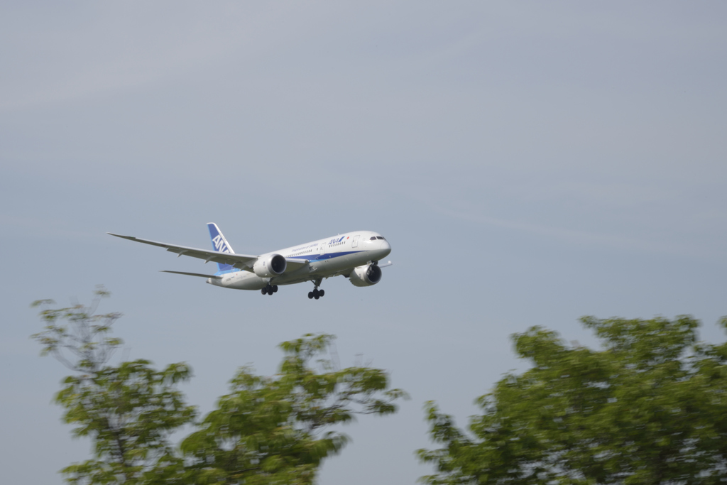 旅客機の流し撮り2