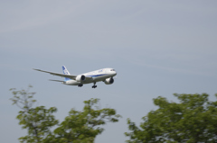 旅客機の流し撮り2