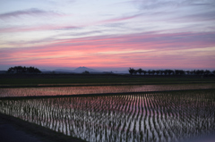 田園風景　筑波山と夕焼け