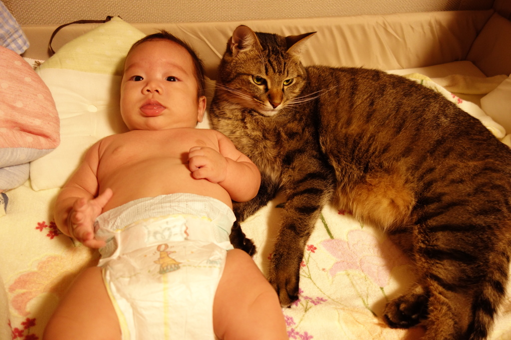 長男と末っ子