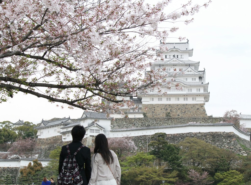 葉桜