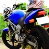 HONDA　VTR
