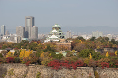 秋の大阪城