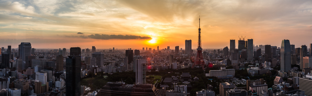 東京タワー周辺を一望