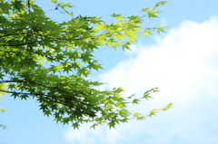 生き生き