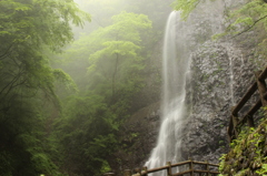 新緑と滝