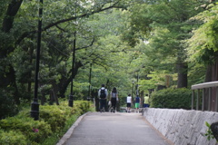 道