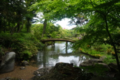 どこか涼しげ夏にまた来る