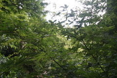 その先にあるもの