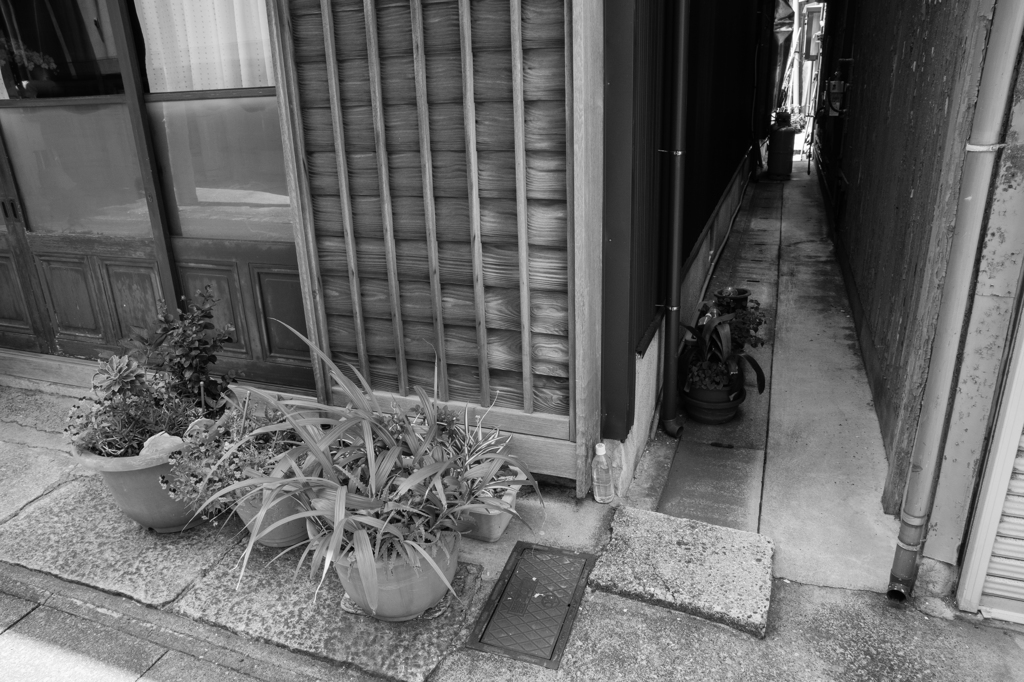 三浦市三崎