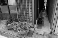 三浦市三崎