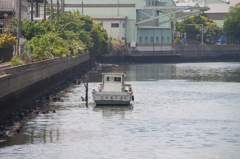 船橋港の辺りの船
